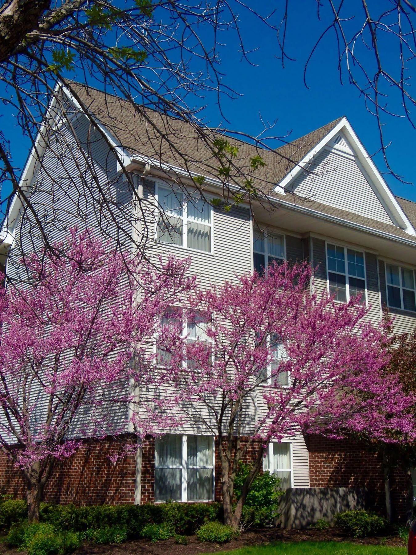 Residence Inn Indianapolis Airport Exterior foto
